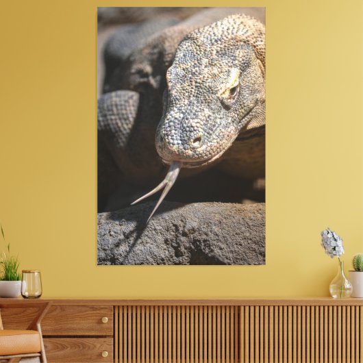 Komodo Dragon die zijn tong uittrekt Canvas Afdruk (Insitu (Woonkamer))