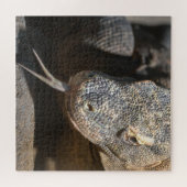 Komodo Dragon die zijn tong uittrekt Legpuzzel (Horizontaal)