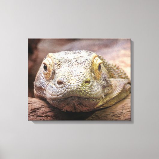 Komodo Dragon foto met droevig gezicht Canvas Afdruk (Voorkant)
