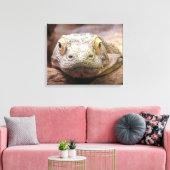 Komodo Dragon foto met droevig gezicht Canvas Afdruk (Insitu (Woonkamer))