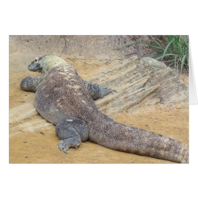Komodo Dragon Gevouwen Kaart (Voorkant Horizontaal)