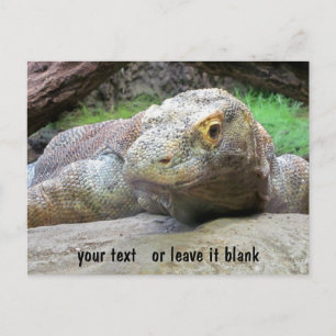 Komodo Dragon gezicht met jouw tekst Briefkaart