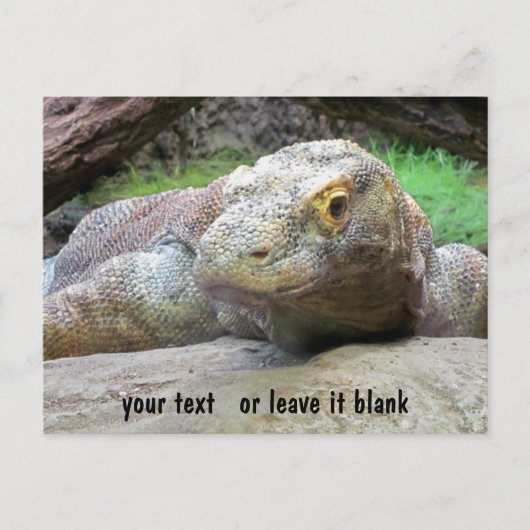 Komodo Dragon gezicht met jouw tekst Briefkaart (Voorkant)