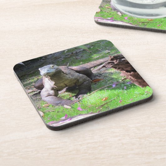 Komodo Dragon Hard Plastic / Cork Onderzetters (Linkerzijde)