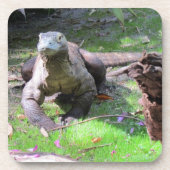 Komodo Dragon Hard Plastic / Cork Onderzetters (Voorkant)
