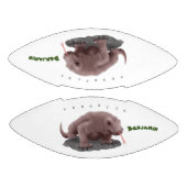 Komodo dragon illustratie american football (Panelen)