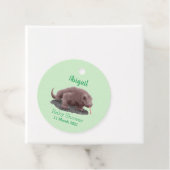 Komodo dragon illustratie bedankjes labels (In situ)