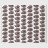 Komodo dragon illustratie cadeaupapier (Vlak)