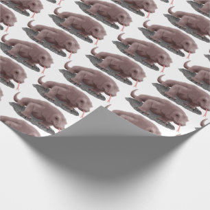 Komodo dragon illustratie cadeaupapier