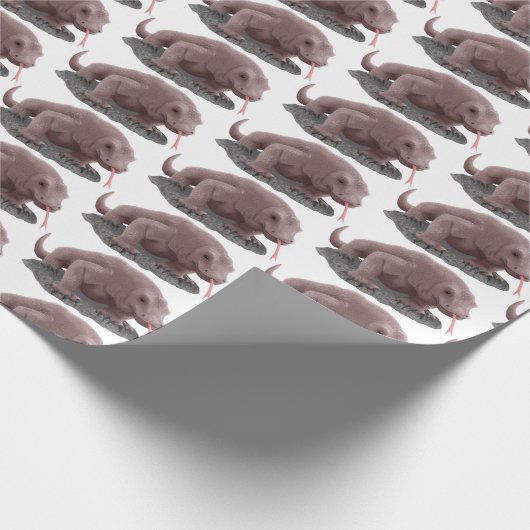 Komodo dragon illustratie cadeaupapier (Hoek)