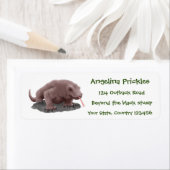 Komodo dragon illustratie etiket (Insitu)