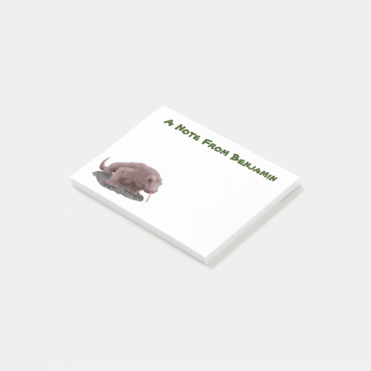 Komodo dragon illustratie post-it® notes (Schuin)