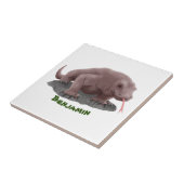 Komodo dragon illustratie tegeltje (Zijkant)