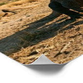 Komodo Dragon Indonesia National Park Wildlife Art Poster (Hoek)
