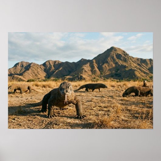 Komodo Dragon Indonesia National Park Wildlife Art Poster (Voorkant)