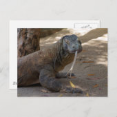 Komodo Dragon Licking Briefkaart (Voorkant / Achterkant)