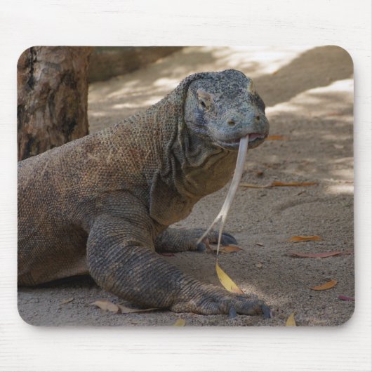 Komodo Dragon Licking Muismat (Voorkant)