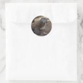 Komodo Dragon Licking Ronde Sticker (Tas)