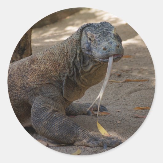 Komodo Dragon Licking Ronde Sticker (Voorkant)