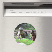 Komodo Dragon Magnet (Insitu (Vaatwasser))