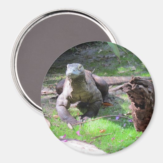 Komodo Dragon Magnet (Voorkant / Achterkant)