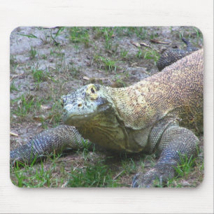 Komodo Dragon Muismat