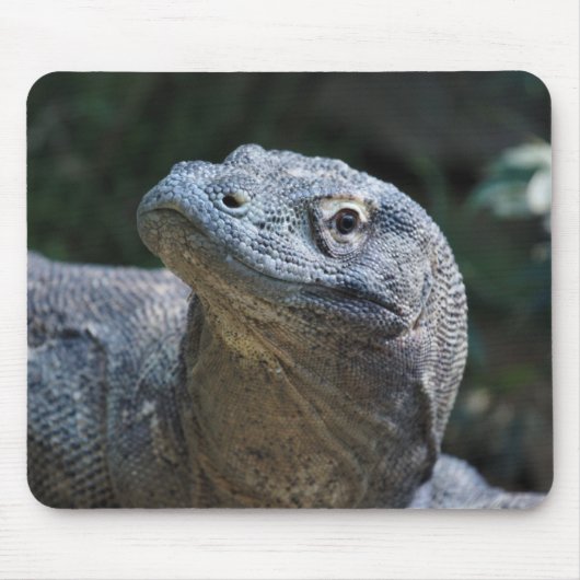Komodo Dragon Muismat (Voorkant)