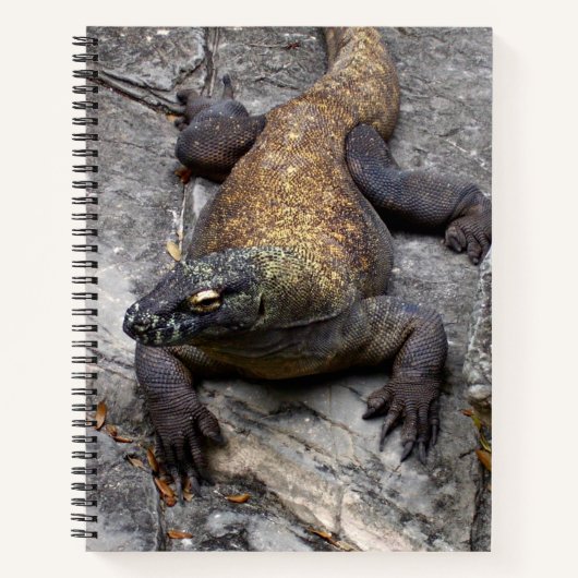 Komodo Dragon Nature Journal Notitieboek (Voorkant)