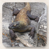 Komodo Dragon on Rugged Stones Bier Onderzetter (Voorkant)