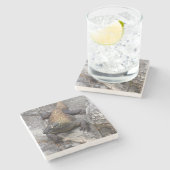 Komodo Dragon on Sunlit Rock Stenen Onderzetter (Zijkant)