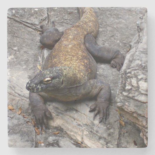 Komodo Dragon on Sunlit Rock Stenen Onderzetter (Voorkant)