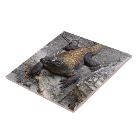 Komodo Dragon on Warm Rocks Tegeltje (Zijkant)