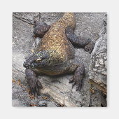 Komodo Dragon on Warm Stone Magneet (Voorkant)