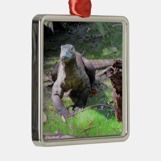 Komodo Dragon Ornament (Rechts)