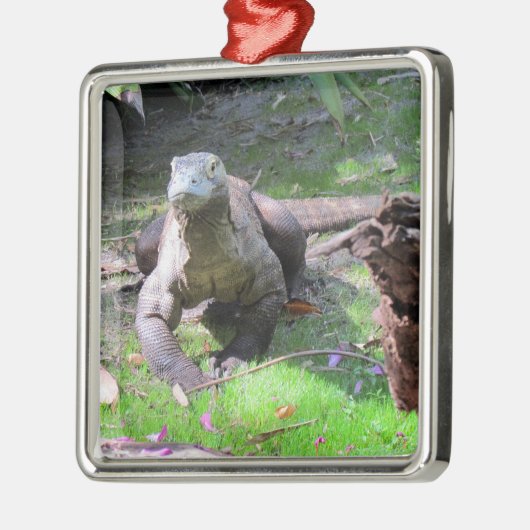 Komodo Dragon Ornament (Links)