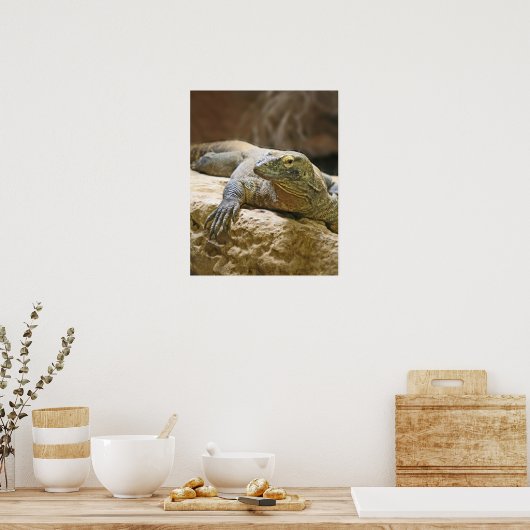 Komodo Dragon Poster (Keuken)