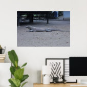Komodo Dragon Poster (Thuiskantoor)
