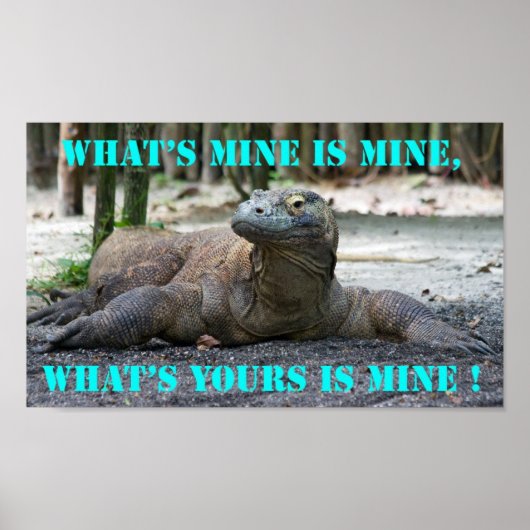 Komodo Dragon Poster (Voorkant)