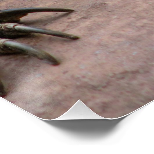 Komodo Dragon Protector Perfect Poster (Hoek)