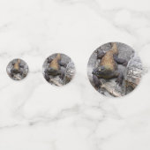 Komodo Dragon Rocky Scatter Confetti (Voorkanten)