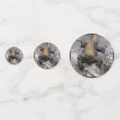 Komodo Dragon Rocky Scatter Confetti (Achterkanten)