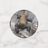 Komodo Dragon Rocky Scatter Confetti (Kleine voorkant)