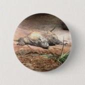 Komodo Dragon Ronde Button 5,7 Cm (Voorkant)