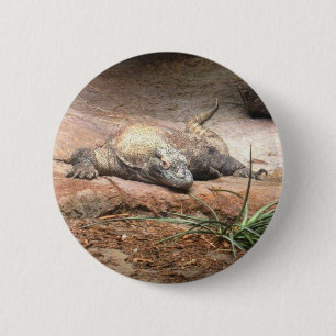 Komodo Dragon Ronde Button 5,7 Cm