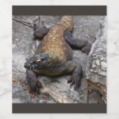 Komodo Dragon Rustic Terrain Wijn Etiket (Enkel label)