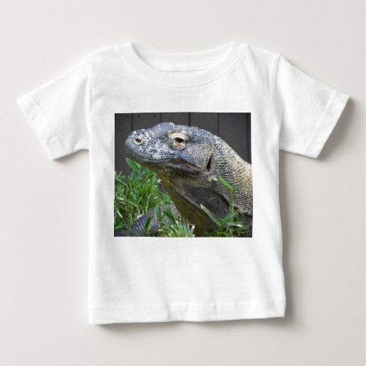 Komodo Dragon Sluiten (Voorkant)