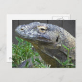 Komodo Dragon Sluiten Briefkaart (Voorkant / Achterkant)
