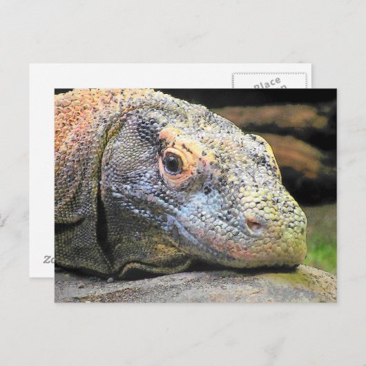 Komodo Dragon Sluiten Profiel Briefkaart (Voorkant / Achterkant)