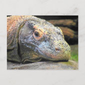 Komodo Dragon Sluiten Profiel Briefkaart (Voorkant)