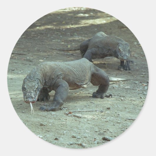 Komodo Dragon Sticker (Voorkant)